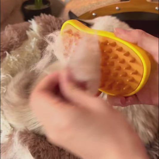 Furry Fresh 3-in-1 for furry companion